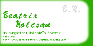 beatrix molcsan business card